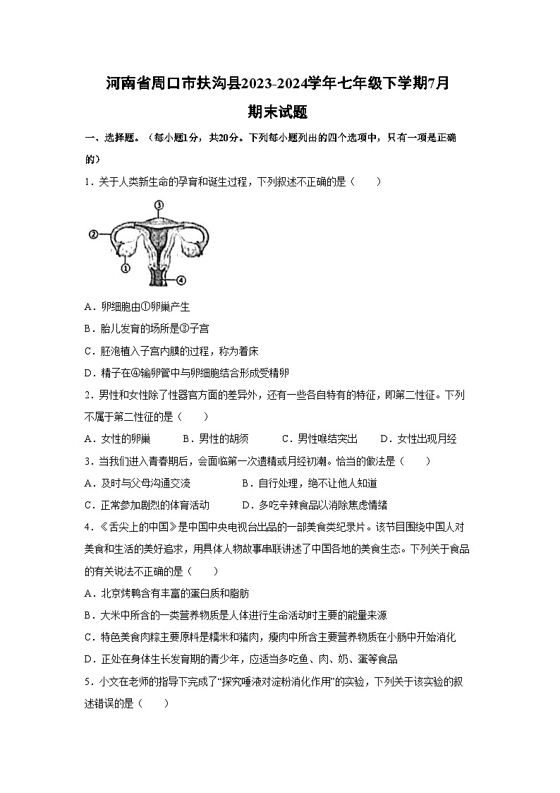 [生物][期末]河南省周口市扶沟县2023-2024学年七年级下学期7月期末试题第1页