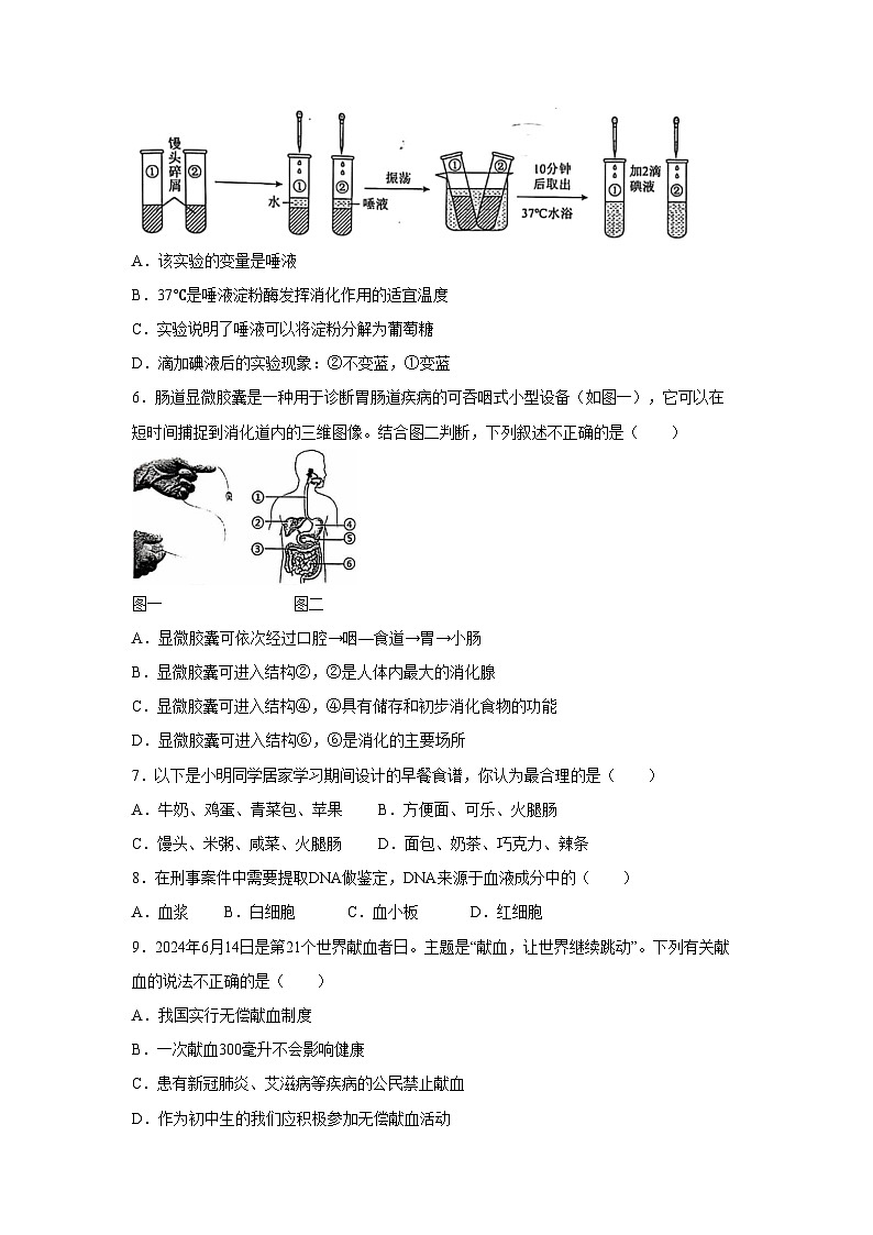 [生物][期末]河南省周口市扶沟县2023-2024学年七年级下学期7月期末试题第2页