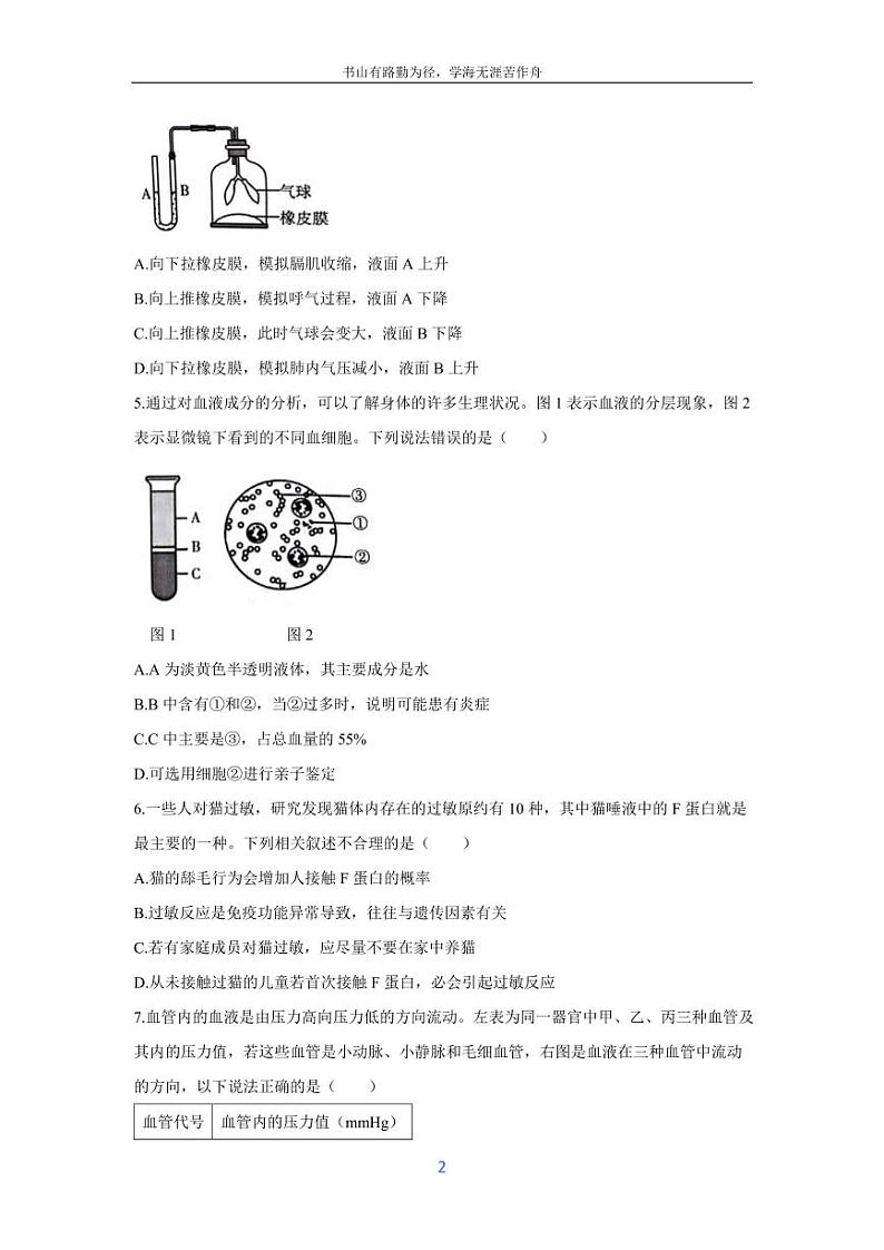 [生物][期末]山东省潍坊市潍城区2023-2024学年七年级下学期期末试题第2页