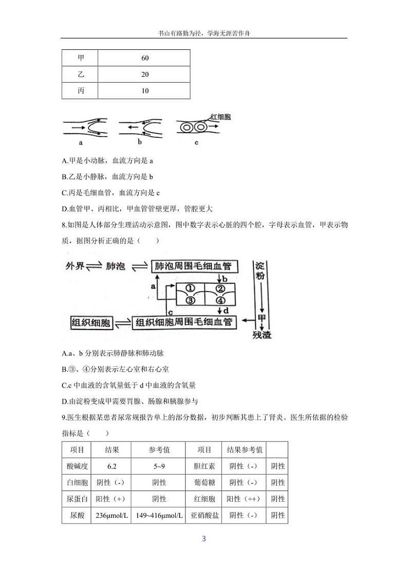 [生物][期末]山东省潍坊市潍城区2023-2024学年七年级下学期期末试题第3页