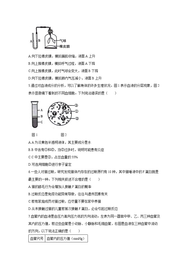 [生物][期末]山东省潍坊市潍城区2023-2024学年七年级下学期期末试题第2页