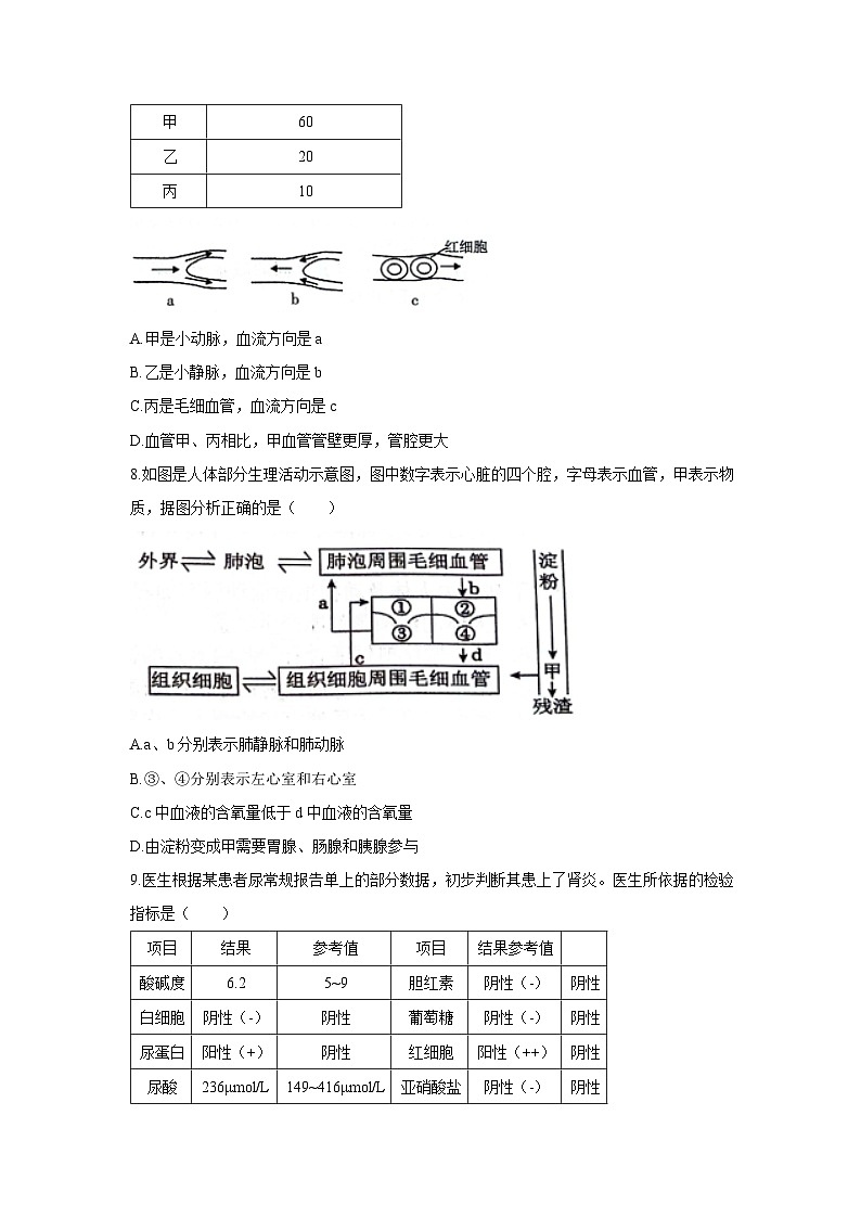 [生物][期末]山东省潍坊市潍城区2023-2024学年七年级下学期期末试题第3页