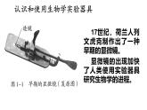 1.1 走进生物学实验室 第1课时 课件-2024-2025学年苏教版生物七年级上册