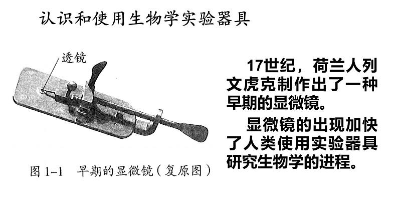 1.1 走进生物学实验室 第1课时 课件-2024-2025学年苏教版生物七年级上册04