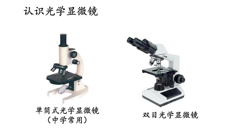 1.1 走进生物学实验室 第1课时 课件-2024-2025学年苏教版生物七年级上册05