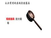 1.1 走进生物学实验室 第2课时 课件-2024-2025学年苏教版生物七年级上册