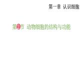 1.2 动物细胞的结构与功能 课件-2024-2025学年苏教版生物七年级上册