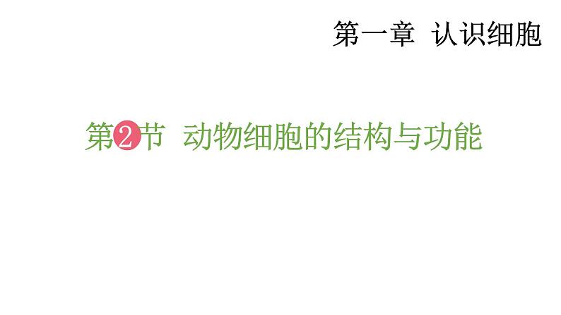 1.2 动物细胞的结构与功能 课件-2024-2025学年苏教版生物七年级上册01