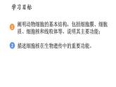 1.2 动物细胞的结构与功能 课件-2024-2025学年苏教版生物七年级上册