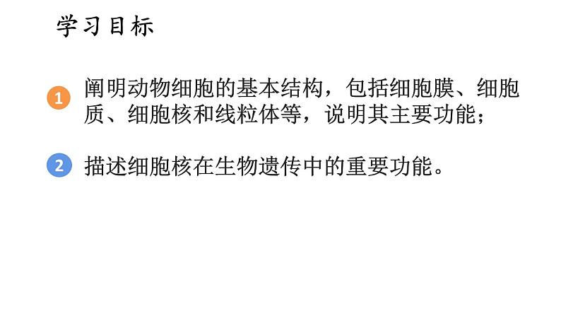 1.2 动物细胞的结构与功能 课件-2024-2025学年苏教版生物七年级上册02