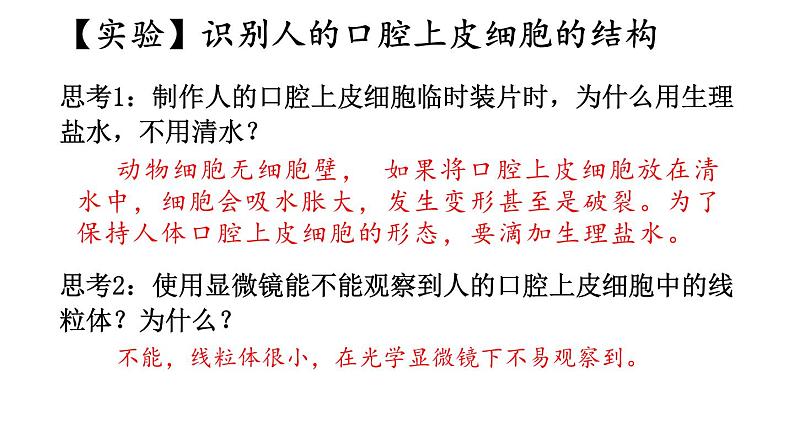 1.2 动物细胞的结构与功能 课件-2024-2025学年苏教版生物七年级上册08