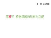 1.3 植物细胞的结构与功能 课件-2024-2025学年苏教版生物七年级上册