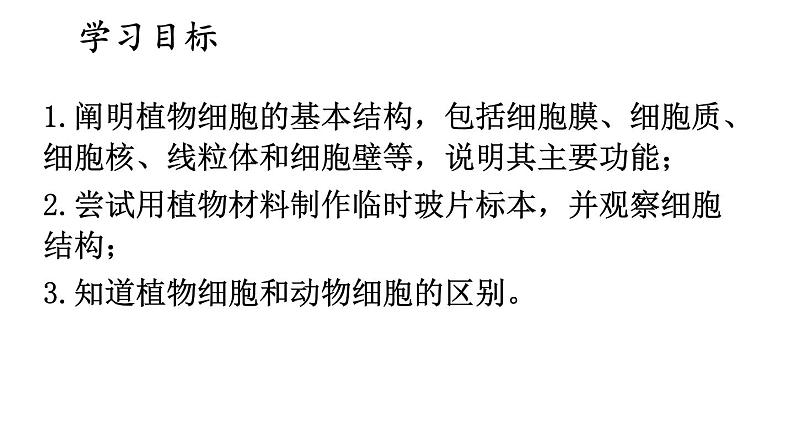 1.3 植物细胞的结构与功能 课件-2024-2025学年苏教版生物七年级上册02