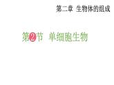 2.2 单细胞生物 课件-2024-2025学年苏教版生物七年级上册