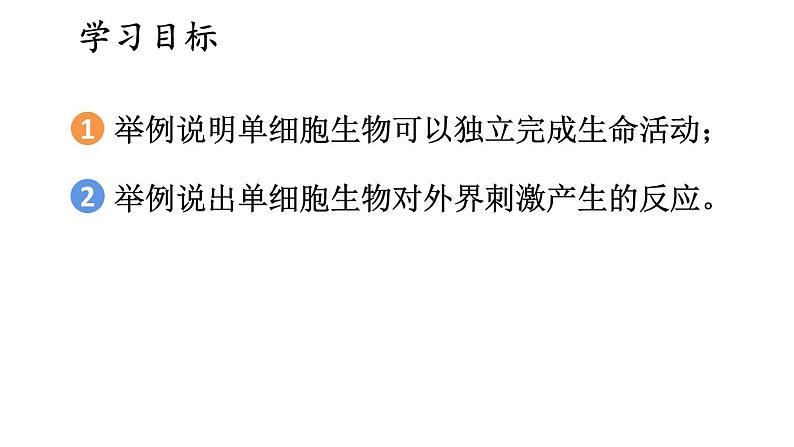 2.2 单细胞生物 课件-2024-2025学年苏教版生物七年级上册02