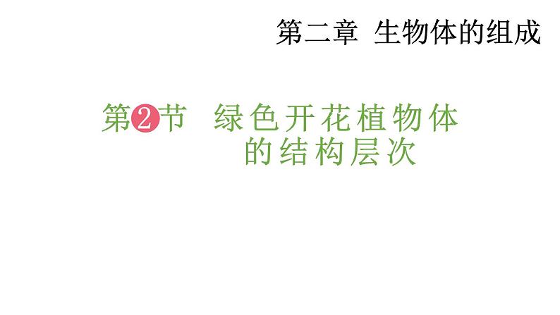 2.3 多细胞生物体的组成 课件-2024-2025学年苏教版生物七年级上册01