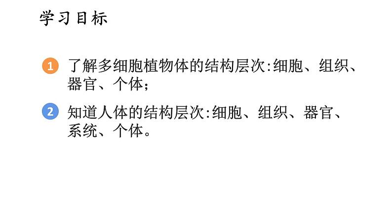 2.3 多细胞生物体的组成 课件-2024-2025学年苏教版生物七年级上册02