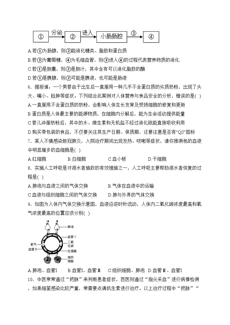 广西壮族自治区南宁市2023-2024学年七年级下学期第三次月考生物试卷(含答案)02