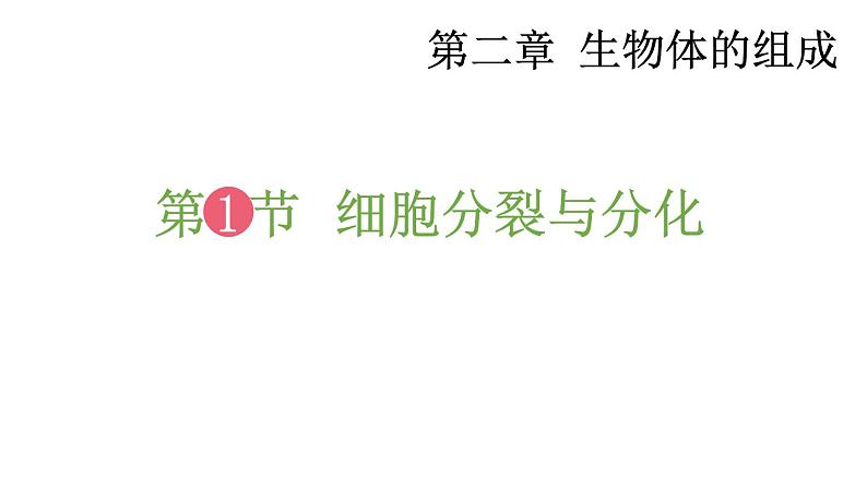 2.1 细胞分裂与分化 课件-2024-2025学年苏教版生物七年级上册01