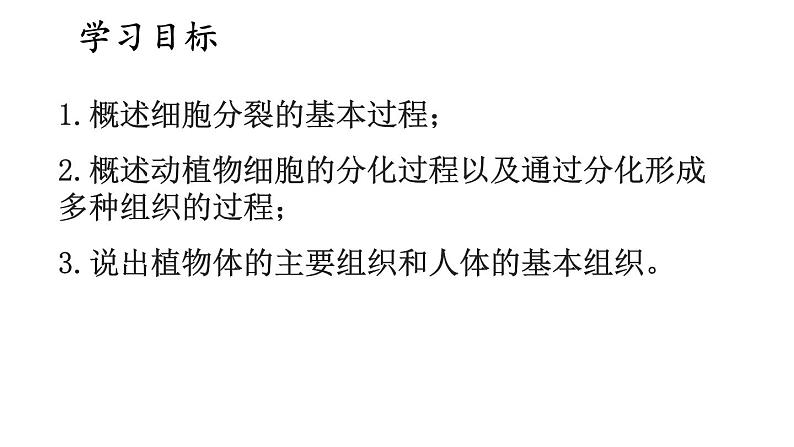 2.1 细胞分裂与分化 课件-2024-2025学年苏教版生物七年级上册02