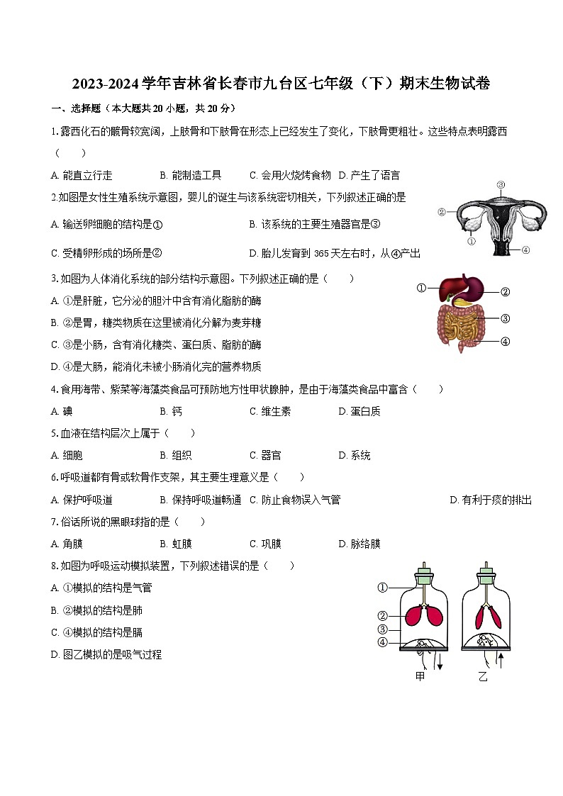 2023-2024学年吉林省长春市九台区七年级（下）期末生物试卷（含答案）第1页