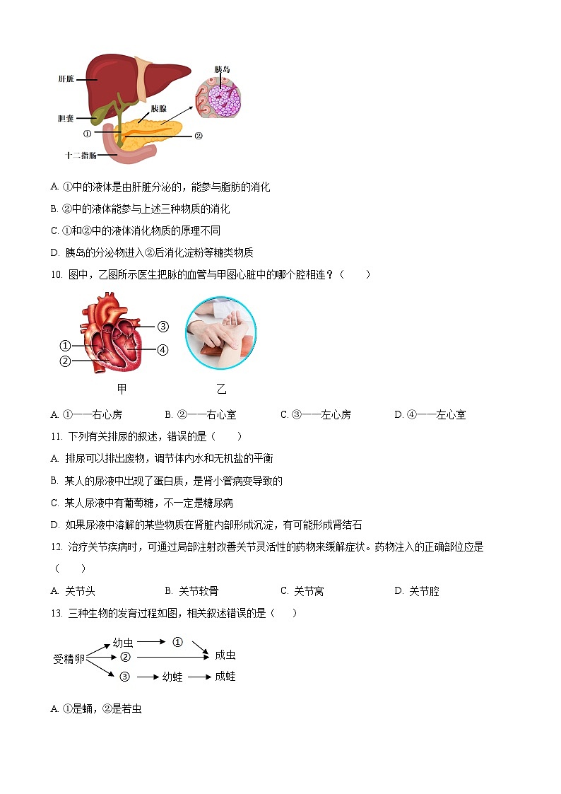河南省新乡市原阳县2023-2024学年八年级下学期期末生物学试题（原卷版+解析版）03