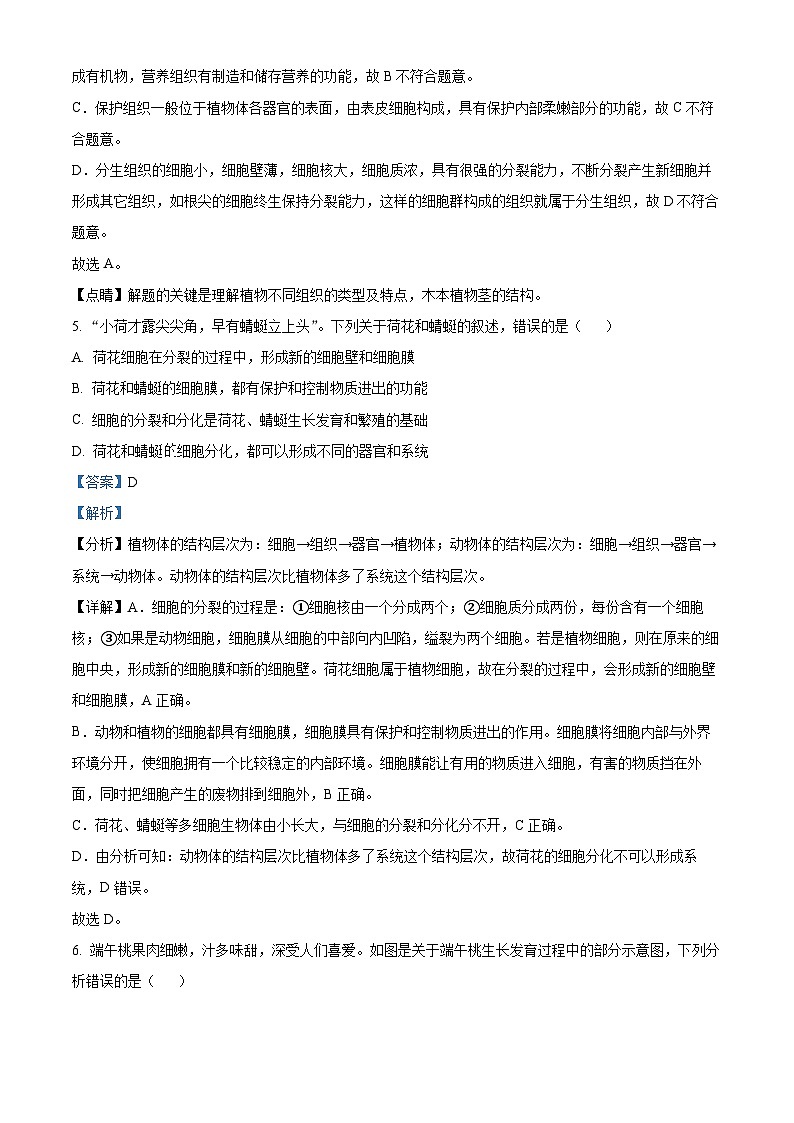 河南省新乡市原阳县2023-2024学年八年级下学期期末生物学试题（原卷版+解析版）03