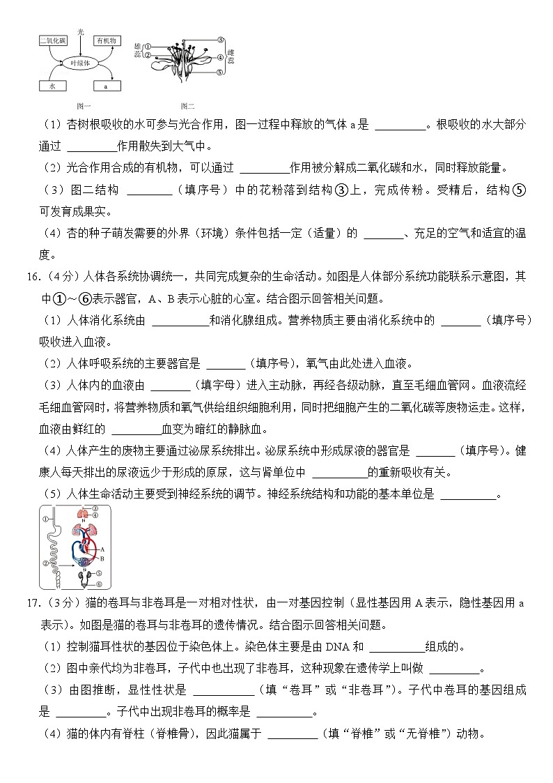 2024年辽宁省中考生物试卷附答案03