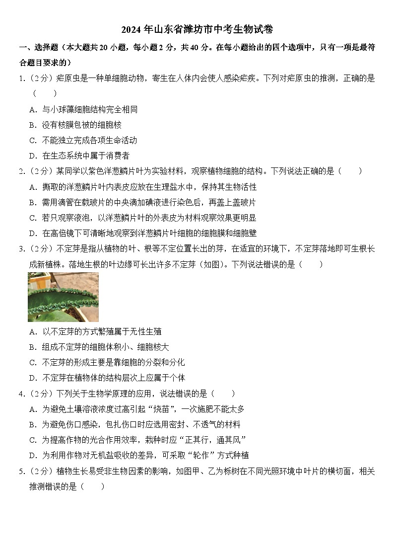 2024年山东省潍坊市中考生物试卷附答案01