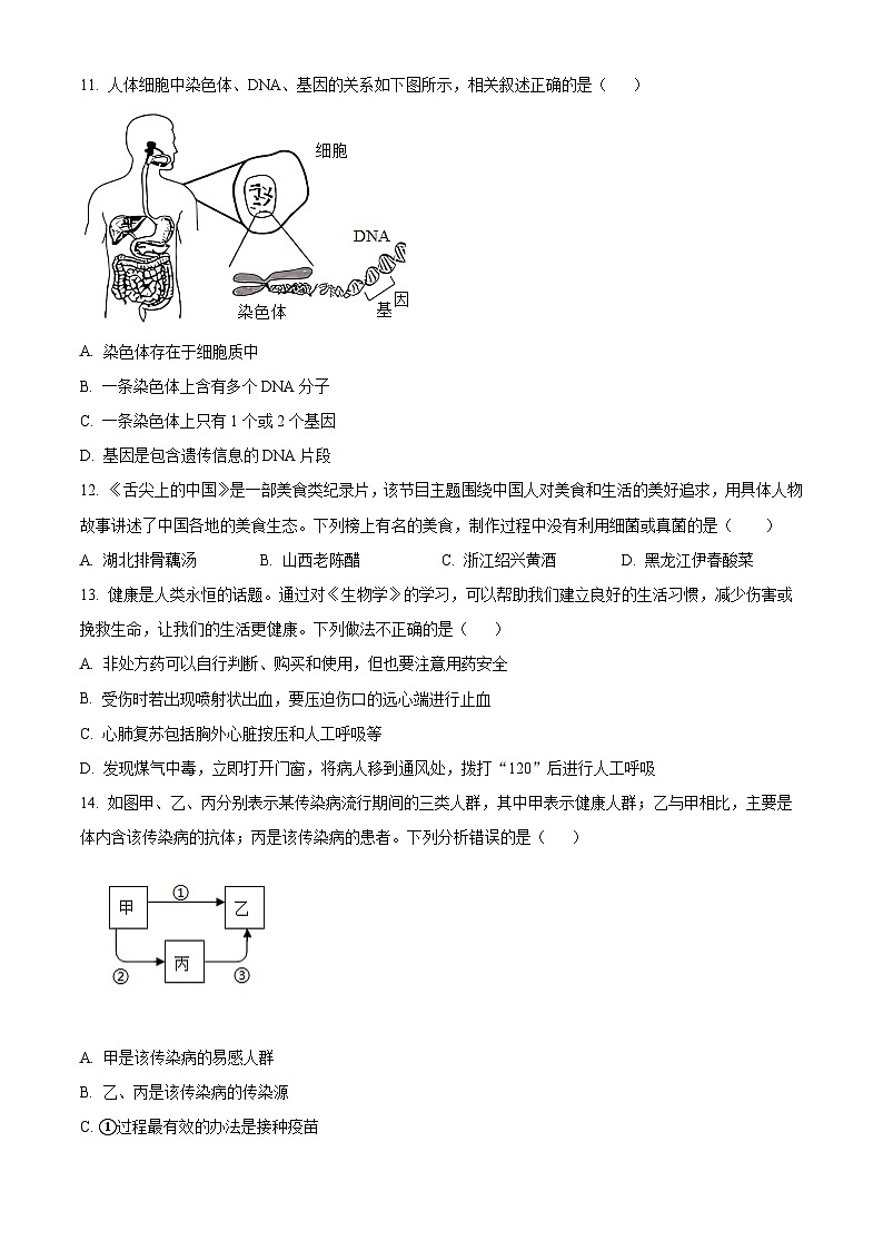 2024年河南省商丘市夏邑县县城多校中考三模生物试题（原卷版）第3页