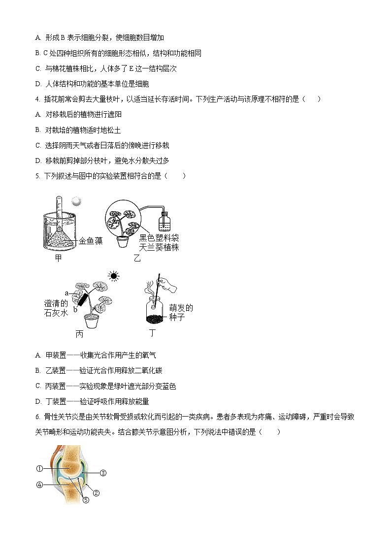 山东省济宁市嘉祥县2023-2024学年八年级下学期期末生物学试题（原卷版）02