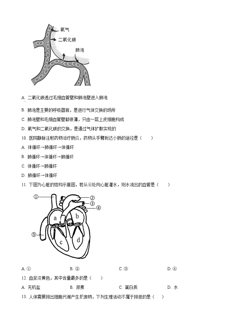 青海省海东市2023-2024学年七年级下学期期末生物学试题（原卷版）第3页