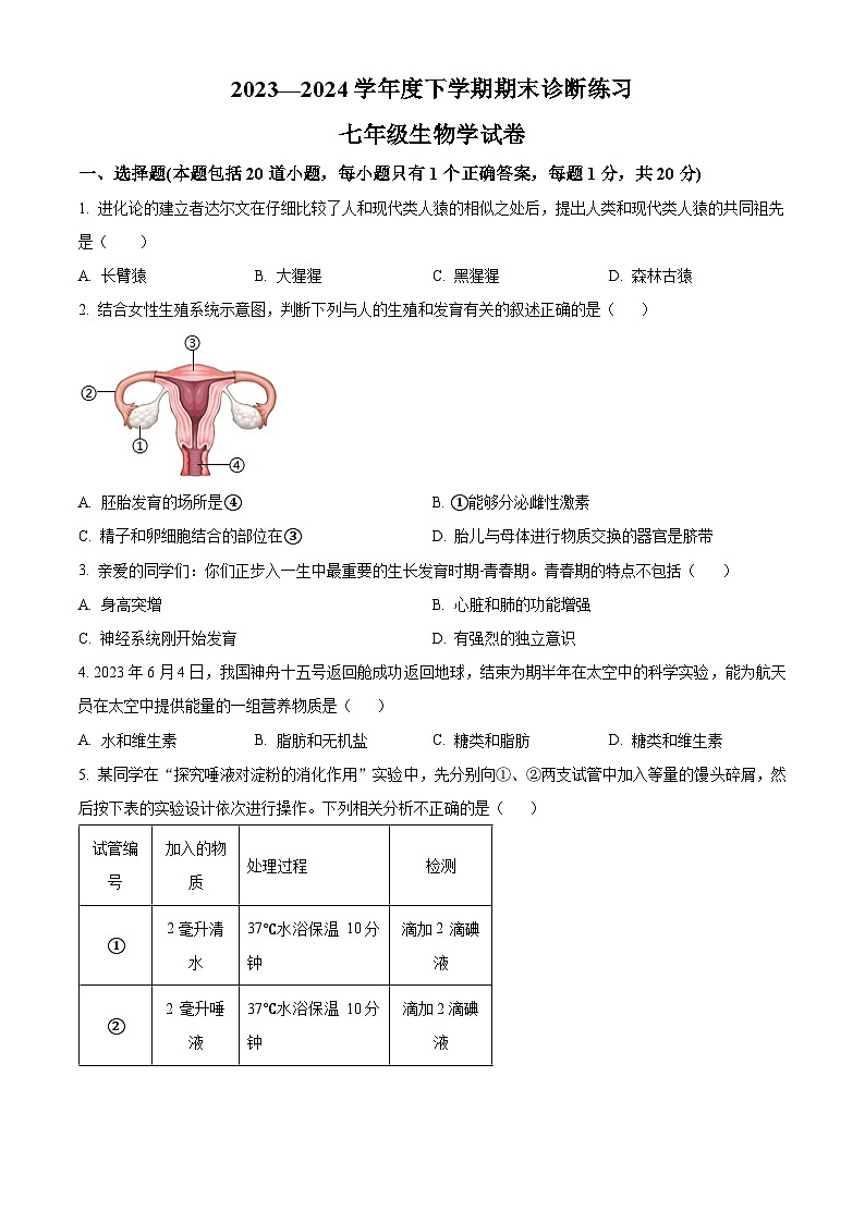 吉林省长春市高新区2023-2024学年七年级下学期期末考试生物试题（原卷版）第1页
