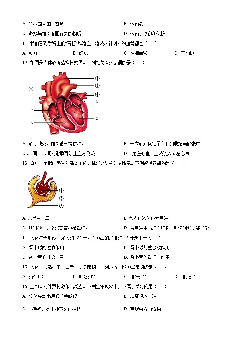 吉林省长春市高新区2023-2024学年七年级下学期期末考试生物试题（原卷版）第3页