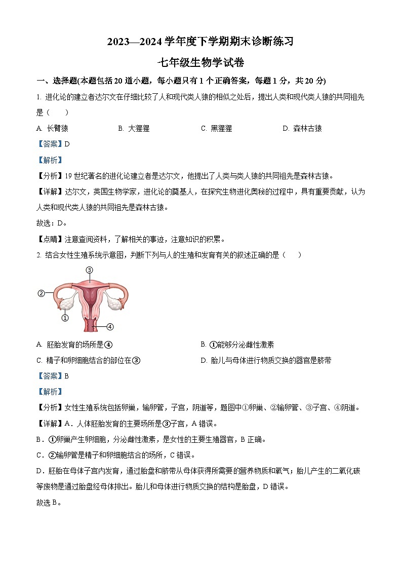 吉林省长春市高新区2023-2024学年七年级下学期期末考试生物试题（解析版）第1页