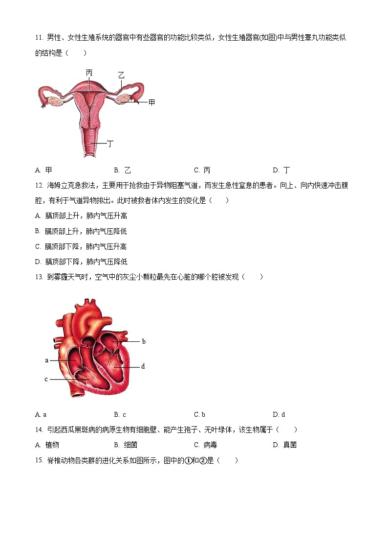 2024年陕西省安康市旬阳县八年级中考三模生物试题（原卷版）第3页