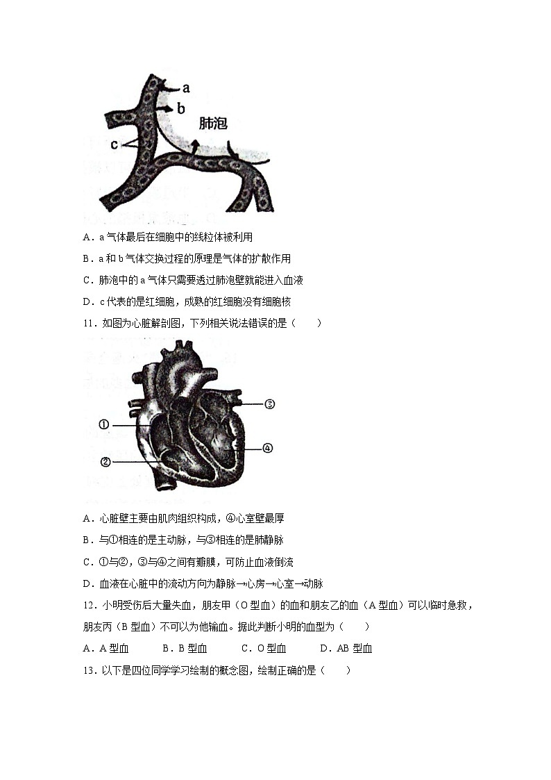 [生物][期末]山东省临沂市郯城县2023--2024学年七年级下学期期末试题第3页