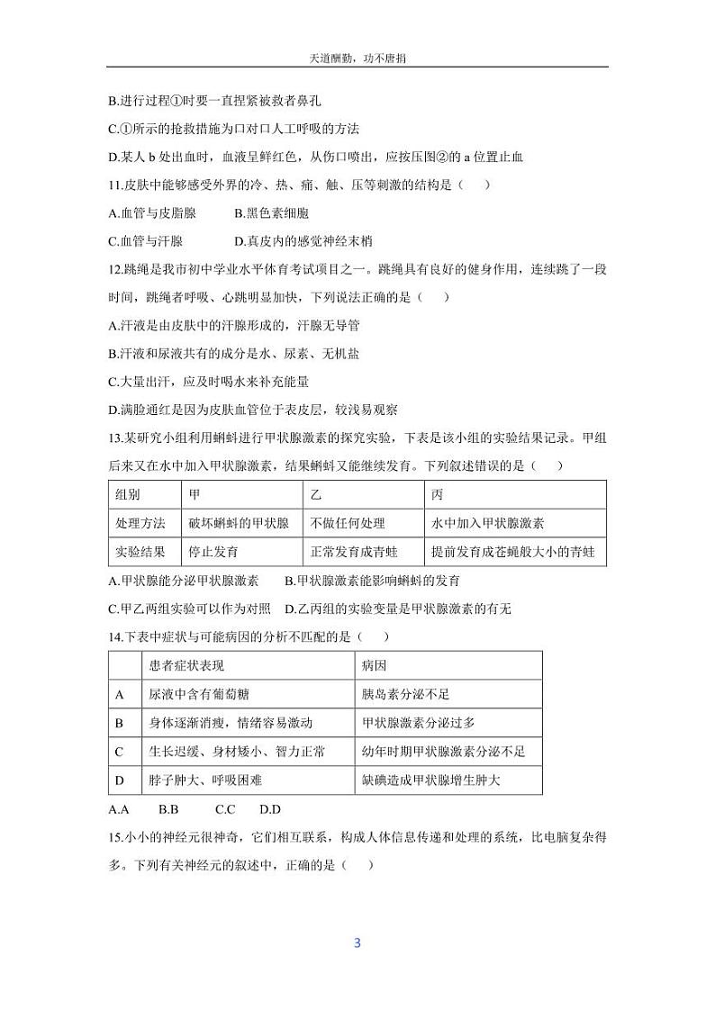 [生物][期末]山东省滕州市2023-2024学年七年级下学期期末考试试卷第3页