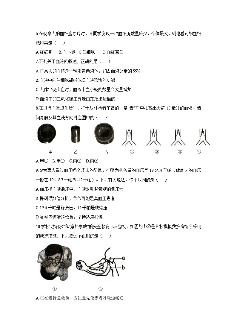 [生物][期末]山东省滕州市2023-2024学年七年级下学期期末考试试卷第2页