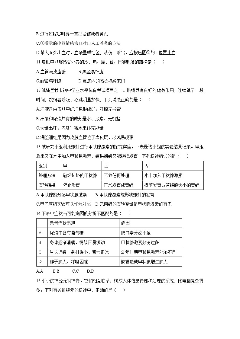 [生物][期末]山东省滕州市2023-2024学年七年级下学期期末考试试卷第3页