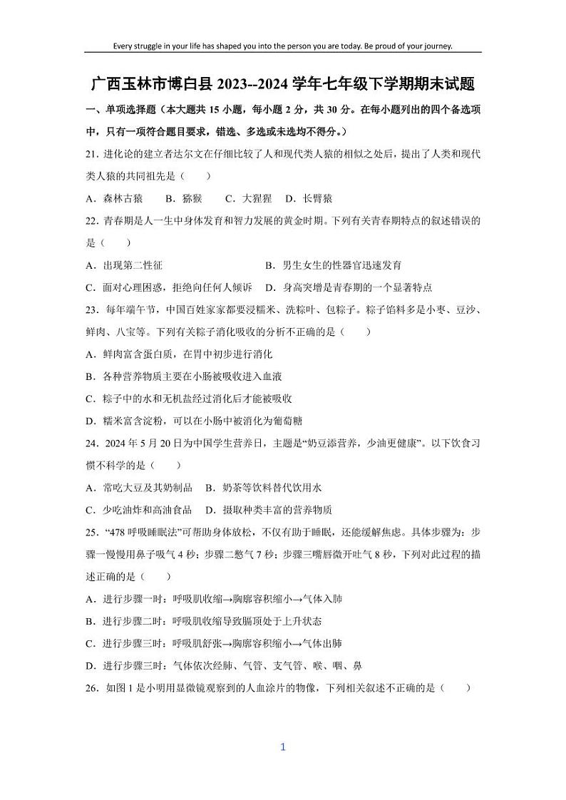 [生物][期末]广西玉林市博白县2023--2024学年七年级下学期期末试题01