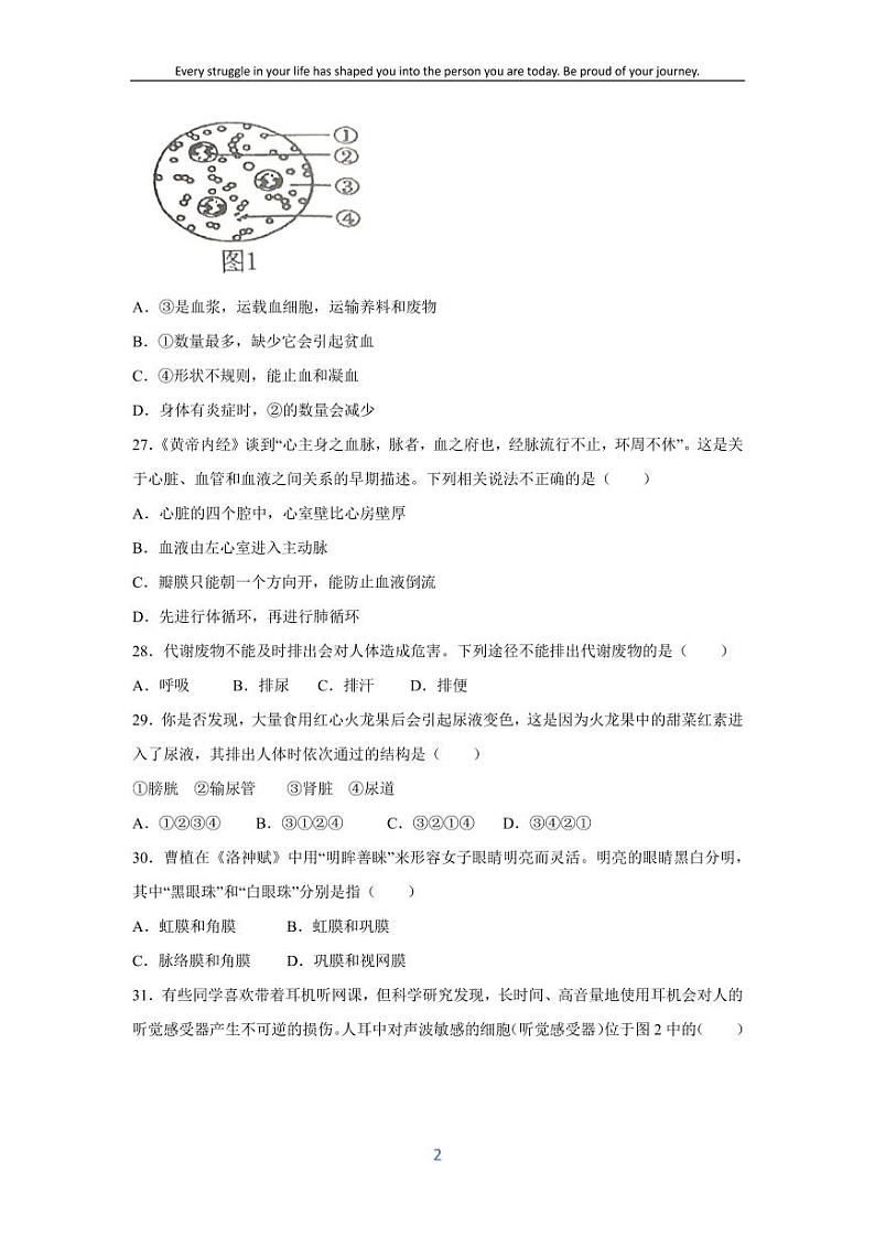 [生物][期末]广西玉林市博白县2023--2024学年七年级下学期期末试题02