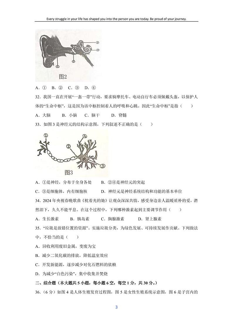 [生物][期末]广西玉林市博白县2023--2024学年七年级下学期期末试题03