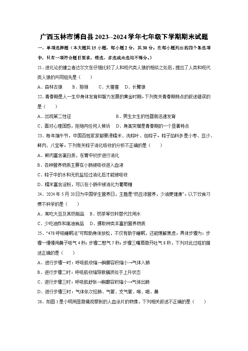 [生物][期末]广西玉林市博白县2023--2024学年七年级下学期期末试题01