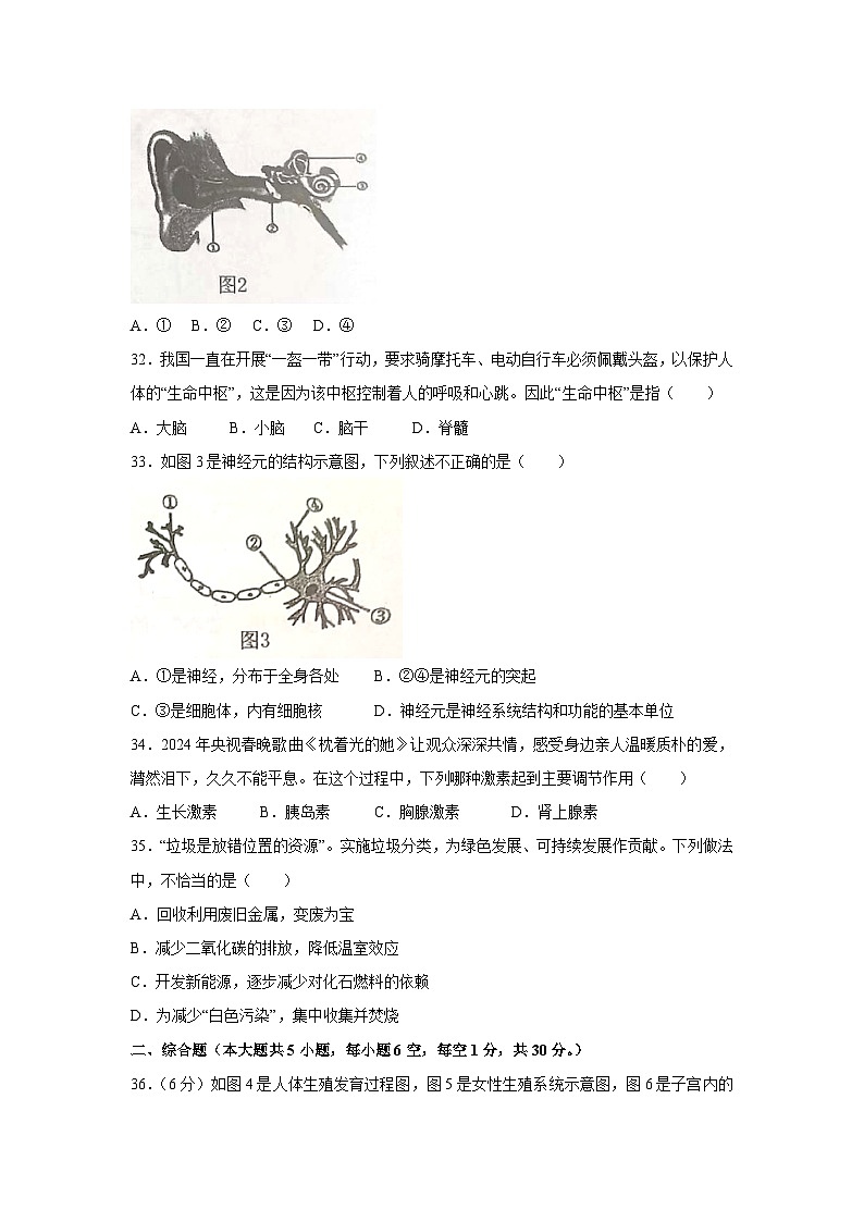 [生物][期末]广西玉林市博白县2023--2024学年七年级下学期期末试题03