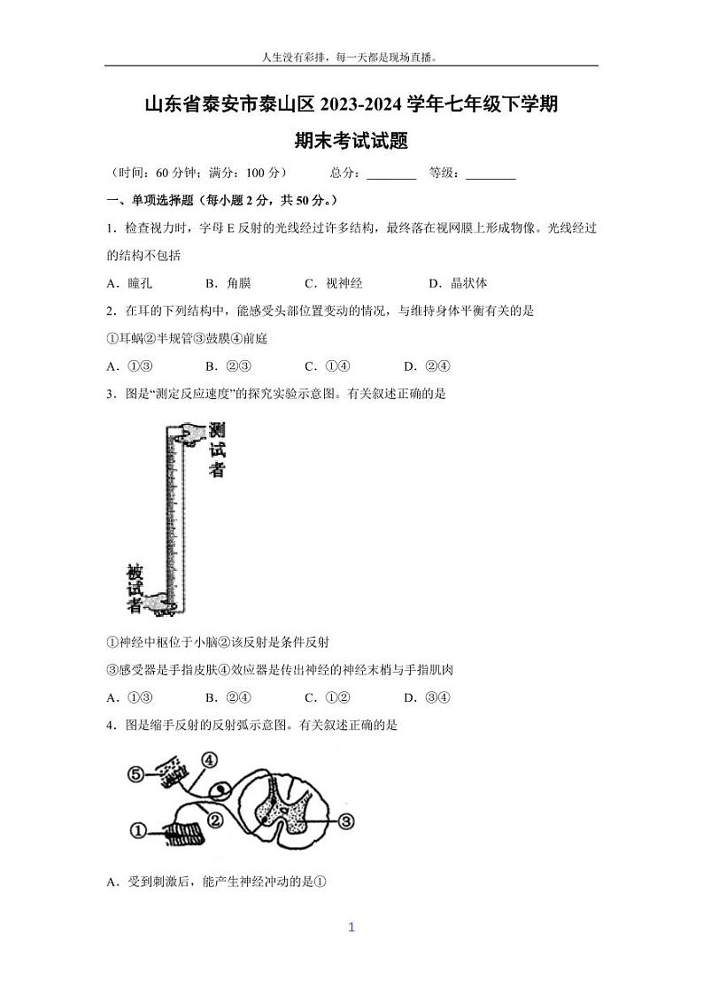 [生物][期末]山东省泰安市泰山区2023-2024学年七年级下学期期末考试试题01