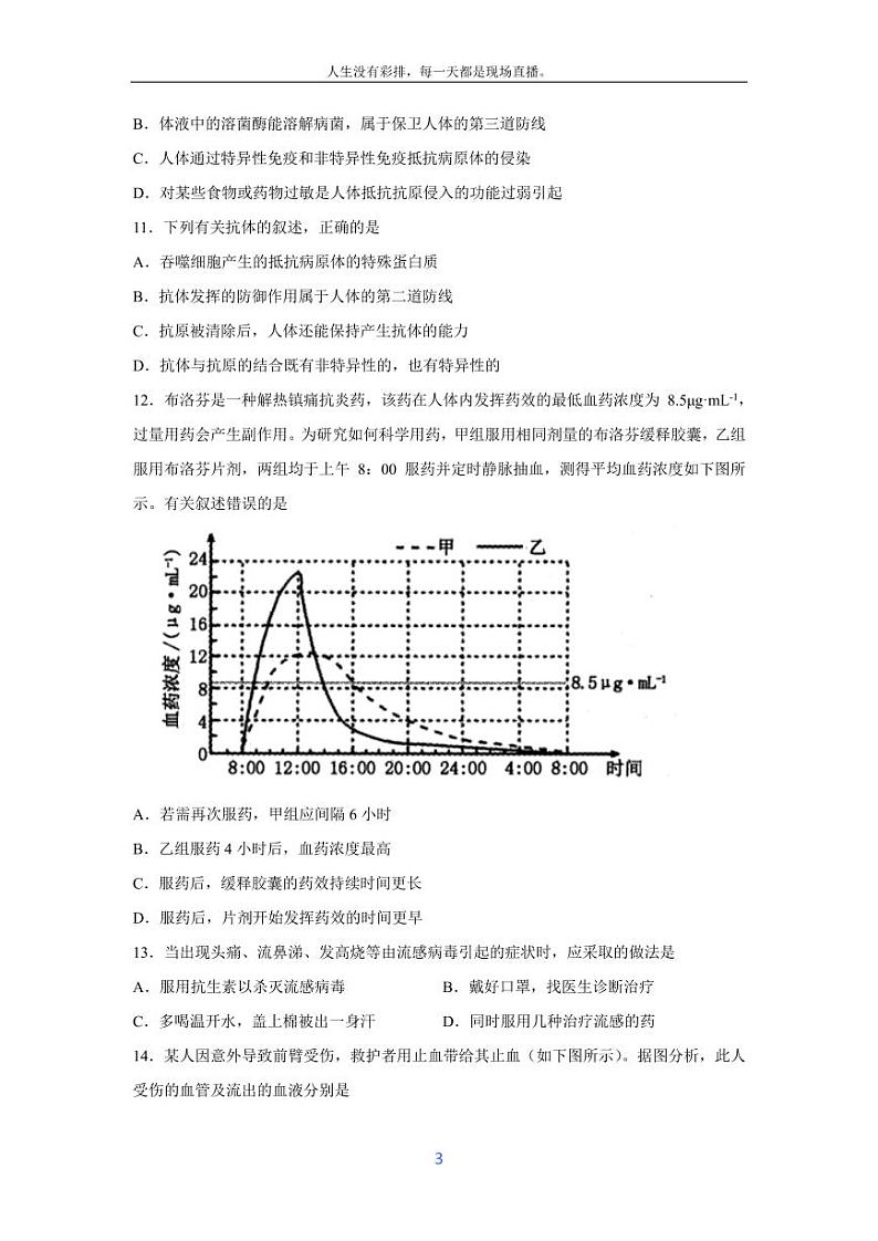 [生物][期末]山东省泰安市泰山区2023-2024学年七年级下学期期末考试试题03