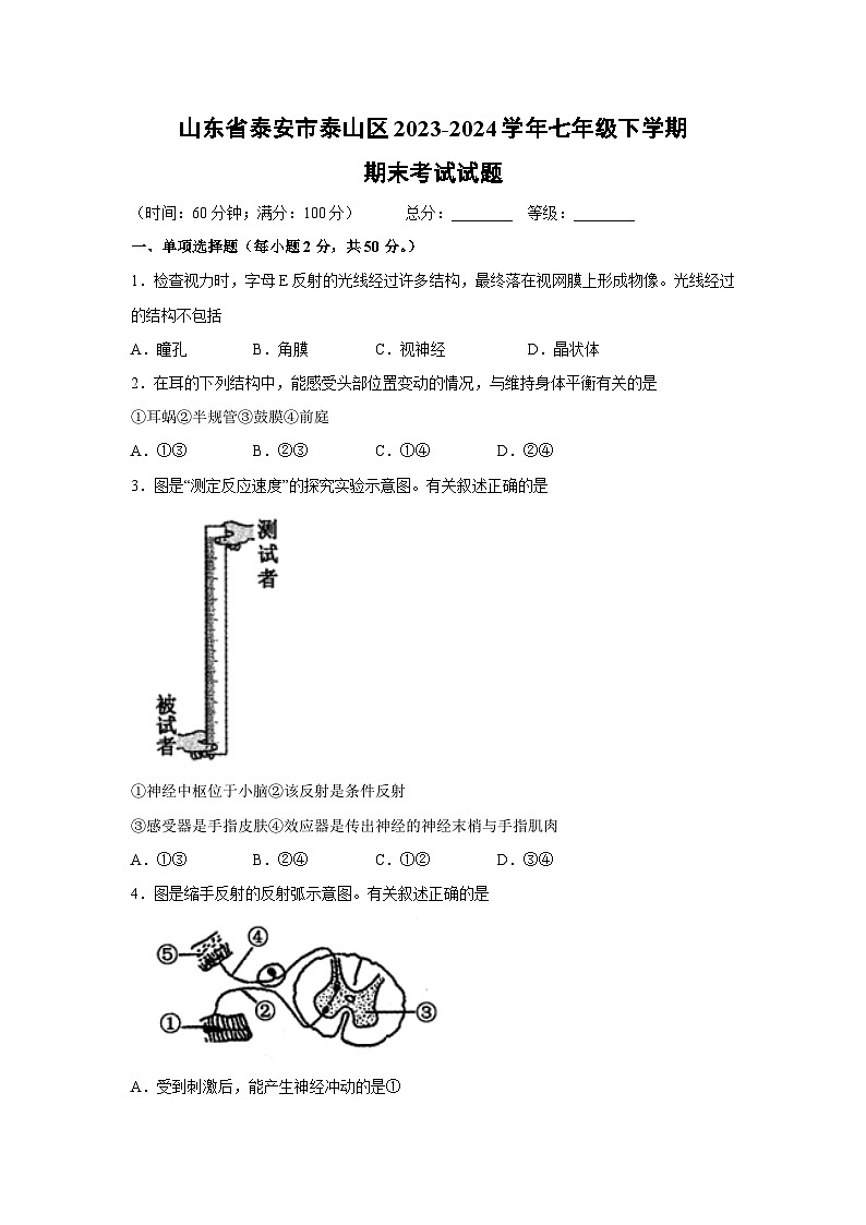 [生物][期末]山东省泰安市泰山区2023-2024学年七年级下学期期末考试试题01