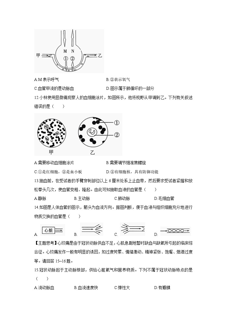 [生物][期末]广东省河源市紫金县2023-2024学年七年级下学期期末考试试题03