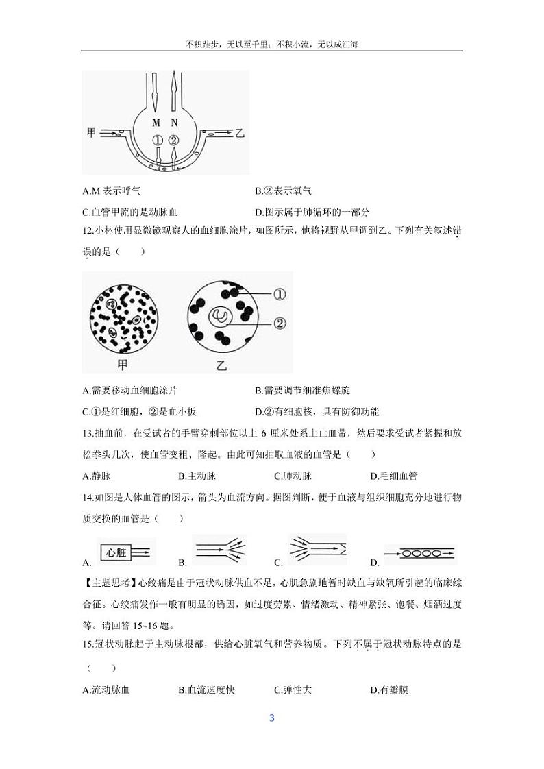 [生物][期末]广东省河源市紫金县2023-2024学年七年级下学期期末考试试题03
